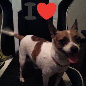 Meet your Posher, Jesse